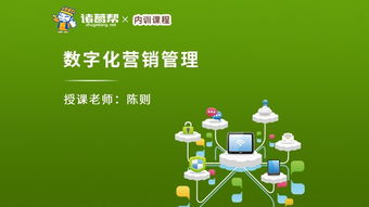 企業管理人員與管理咨詢 構成、職能與協同